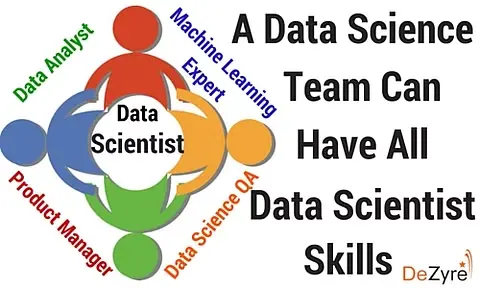 A Data Science Team can have all of a Data Scientist's Skills