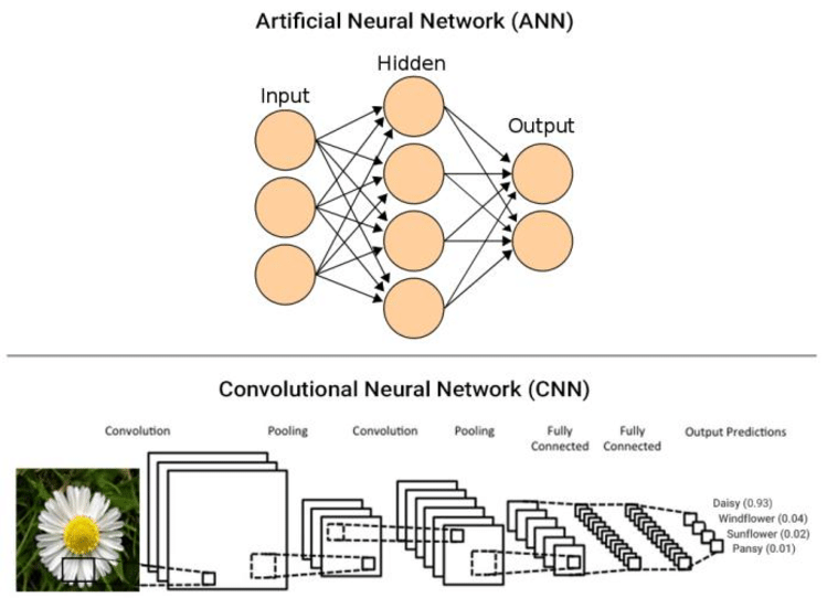 Introduction To Convolutional Neural Networks Architecture