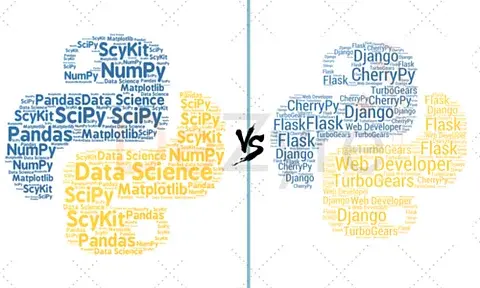 Python for Data Science vs Python for Web Development