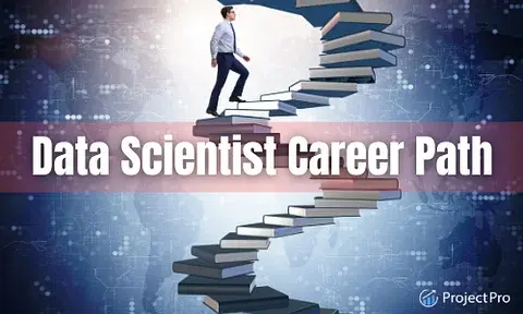 What's a Typical Data Scientist Career Path like in 2024?